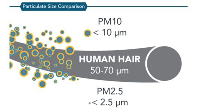 A diagram from the California Air Resources Board shows how small PM2.5 is compared to a human hair. This fine particulate matter is less than 2.5 microns in diameter.